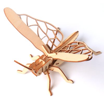 Insect modeling simulation wooden animal (5)